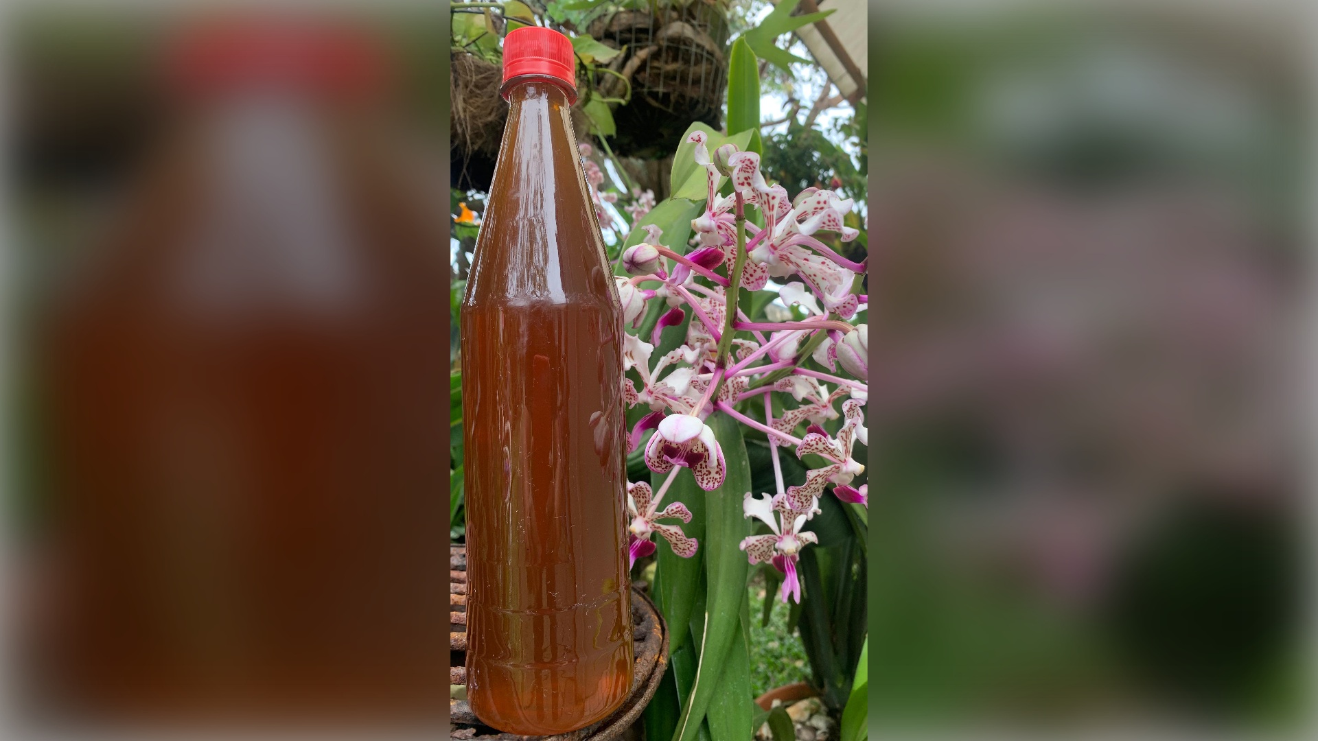 envase grande de miel